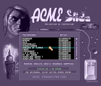 The Acme 1991 Slideshow (1991) by Acme