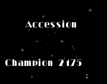 Chess Champion 2175 (1990) by Accession