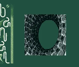 Charles 2000 (1994) by Banal Projects