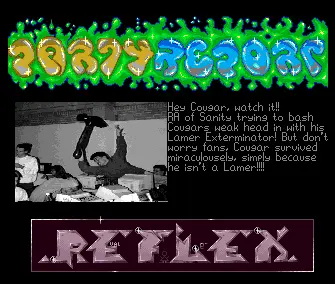 The Party 1993 Report (1993) by Reflex