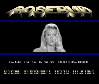 Digital Illusions (1991) by Rosebud