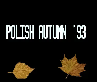 Polish Autumn 93 Intro (1993) by Silicon Art