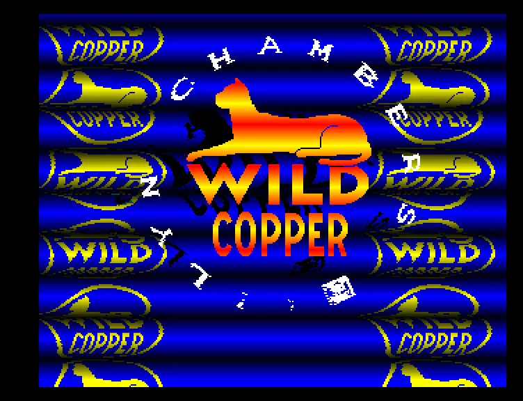 New Demo (1988) by Wild Copper