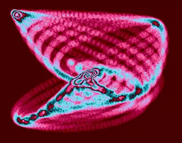 A Deep Blip (2013) by BooZombies