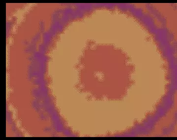 Ront Kolli (1998) by Jormas