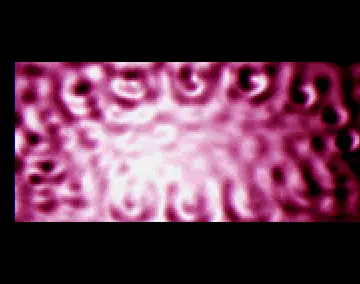 Humus (2000) by Exploder