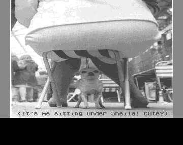 The Lost Puppy (2000) by Apathy