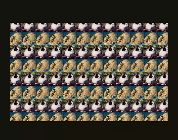 Still Rabbin' It (2002) by Squirrelz
