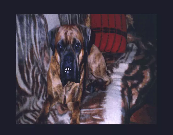 Czerwony (2000) by unknown
