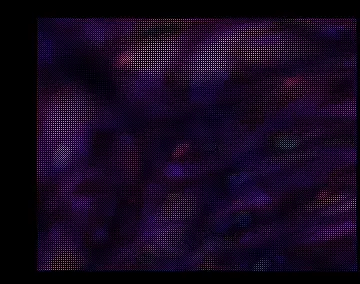Vendetta (1999) by Nuance