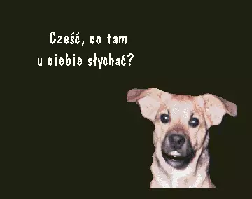 Kociokwik (1998) by Przyjaciele Stefana B.