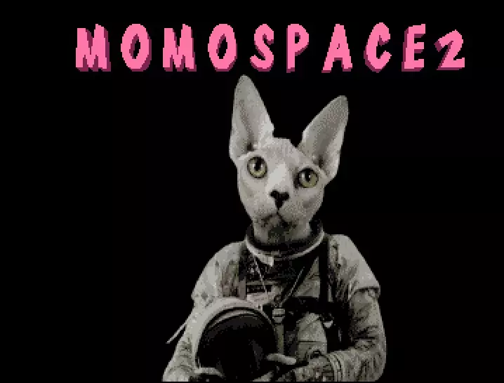 MomoSpace 2 (2024) by Custom Real Amigas Never Emulated
