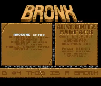 Auschwitz 04 (1992) by Bronx