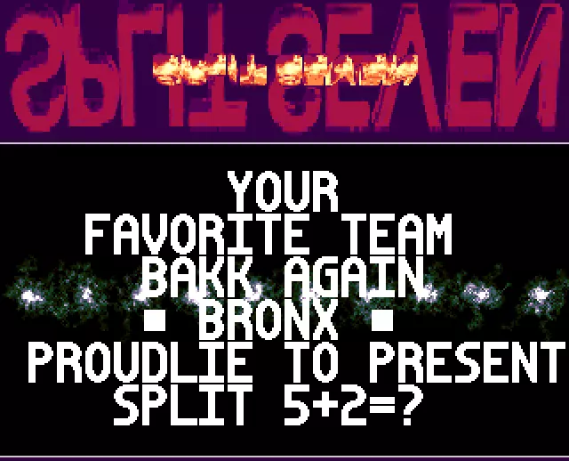 Split 5+2 BBS Intro (1996)