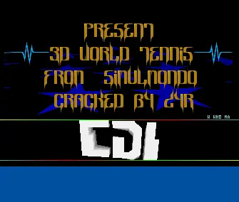 3D World Tennis (1991) by Copyright Destroyers Inc