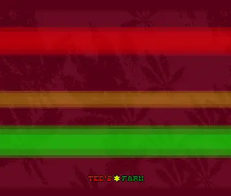 Rasta Bars (1994) by Movement
