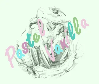 Pastel Vanilla (1993) by Nova