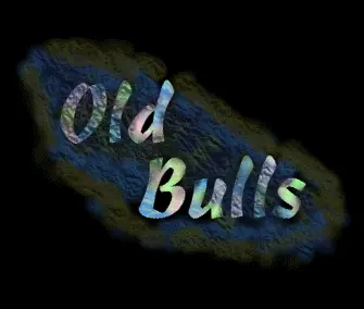 Moments (1994) by Old Bulls