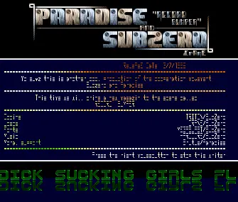 Record Bumper Info (1992) by Paradise