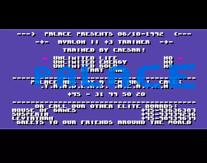 Dungeons of Avalon 2 +3 (1992) by Palace